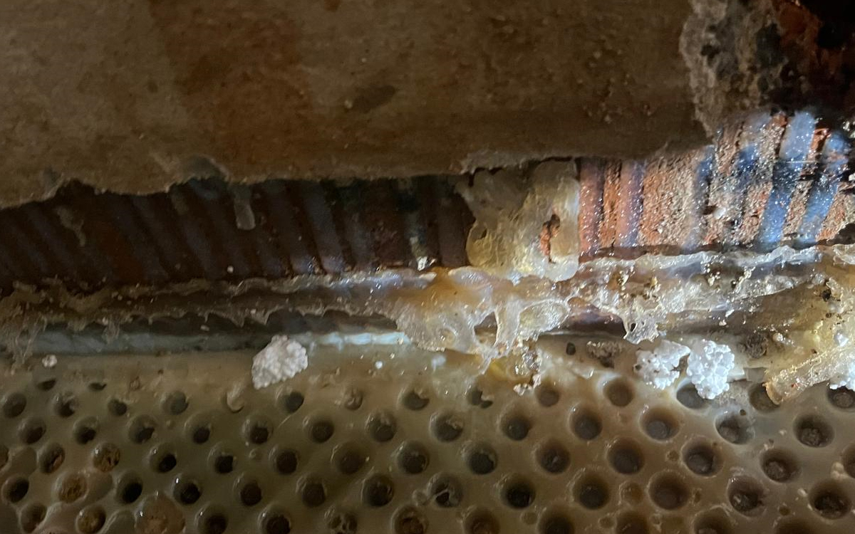 Galéria rubovej sanácie gélom